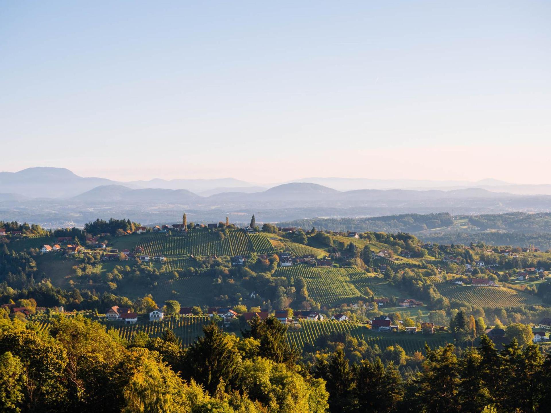 Schilcherlandleben - Hochgrail Greisdorf ภายนอก รูปภาพ